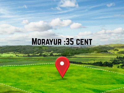 morayur 35 cent.jpg