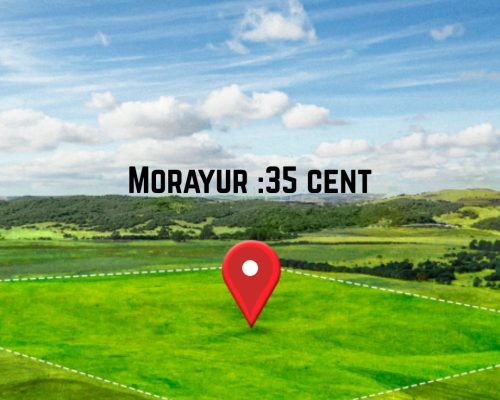 morayur 35 cent.jpg